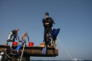 Taucher spring vom Steg ins rote Meer, Robinson-Club Soma bay
