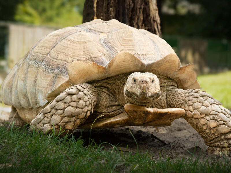 ZOOM Erlebniswelt Fotoworkshop für Einsteiger mit Frank ICUart
