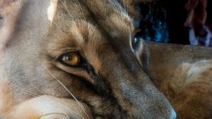 ZOOM Erlebniswelt Workshop Natur 20.09.2025