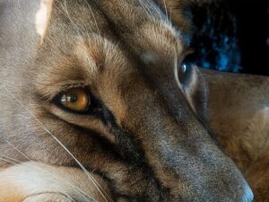 ZOOM Erlebniswelt Workshop Natur 20.09.2025