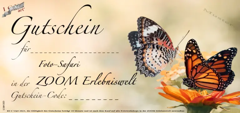 Gutschein für eine Foto-Safari in der ZOOM Erlebniswelt Gelsenkirchen Motiv Butterfly