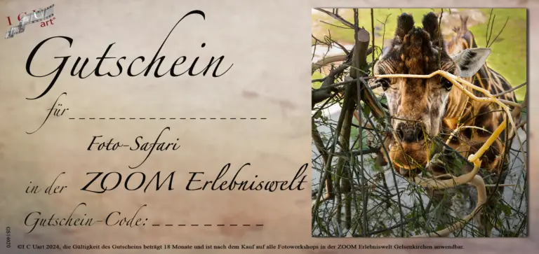 Gutschein Foto-Safari ZOOM Erlebniswelt Gelsenkirchen Motiv Giraffe